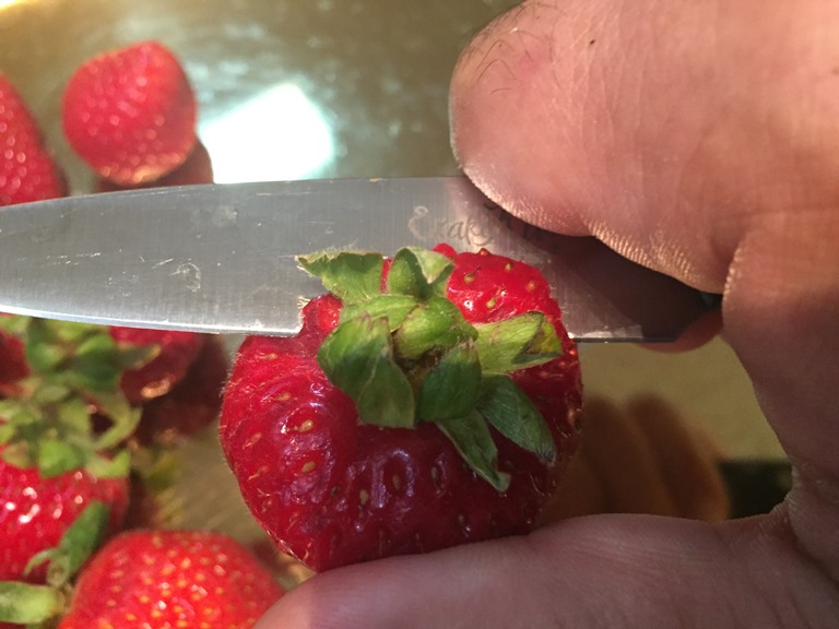 Cleaning Strawberries for Flash Freezing