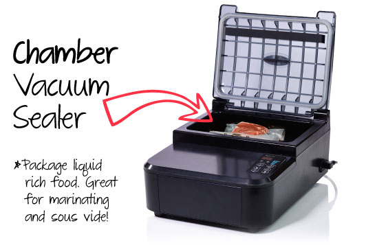 VacMaster new 2-in-1 vacuum sealer DUO550