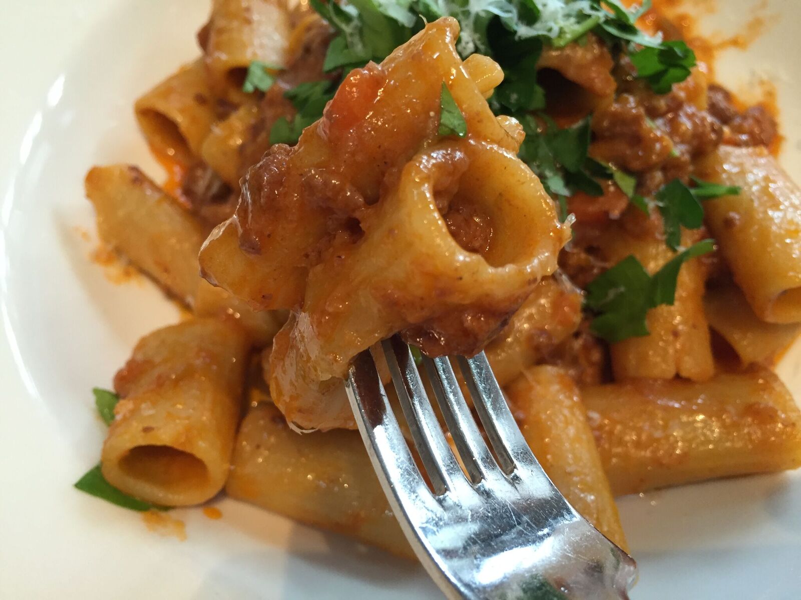 Venison Bolognese Photo