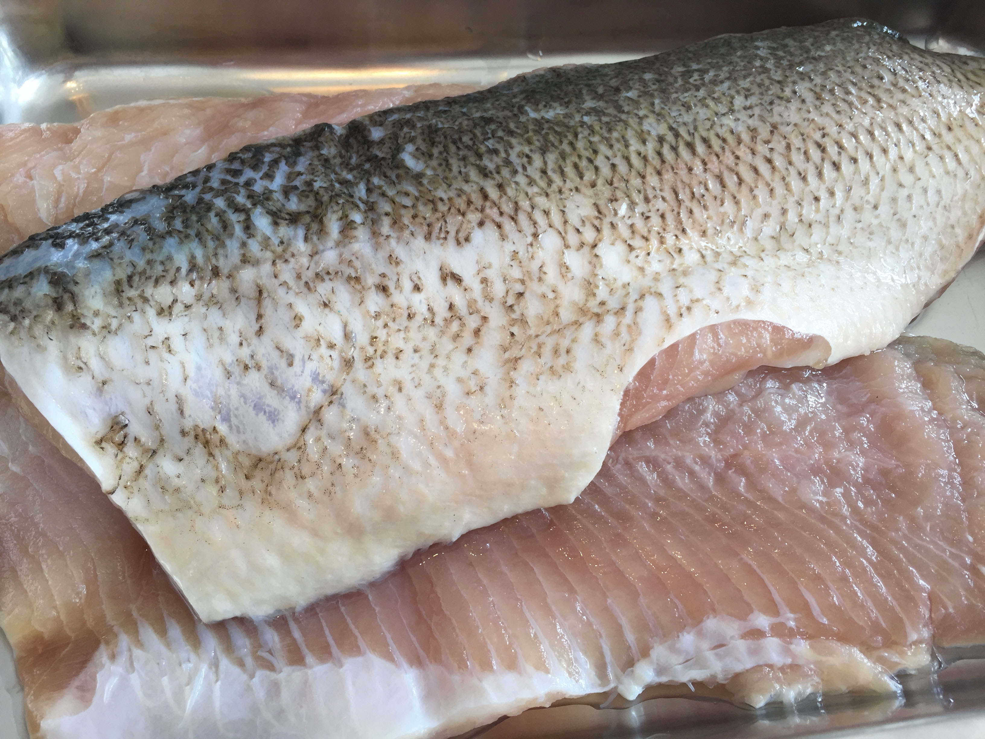 Freshwater whitefish fillets