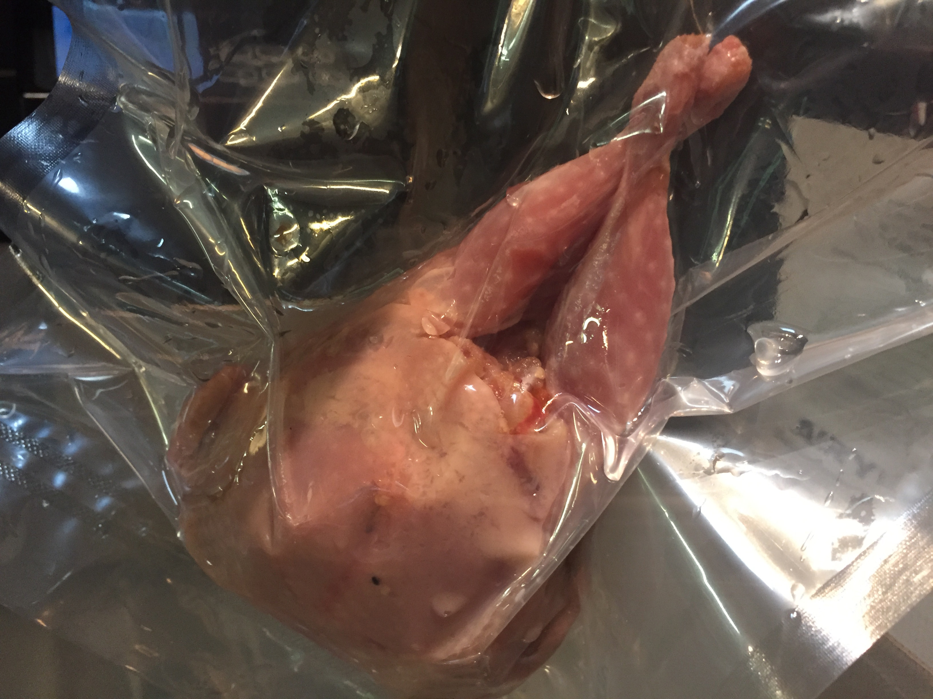 sous vide stuffed quail photo