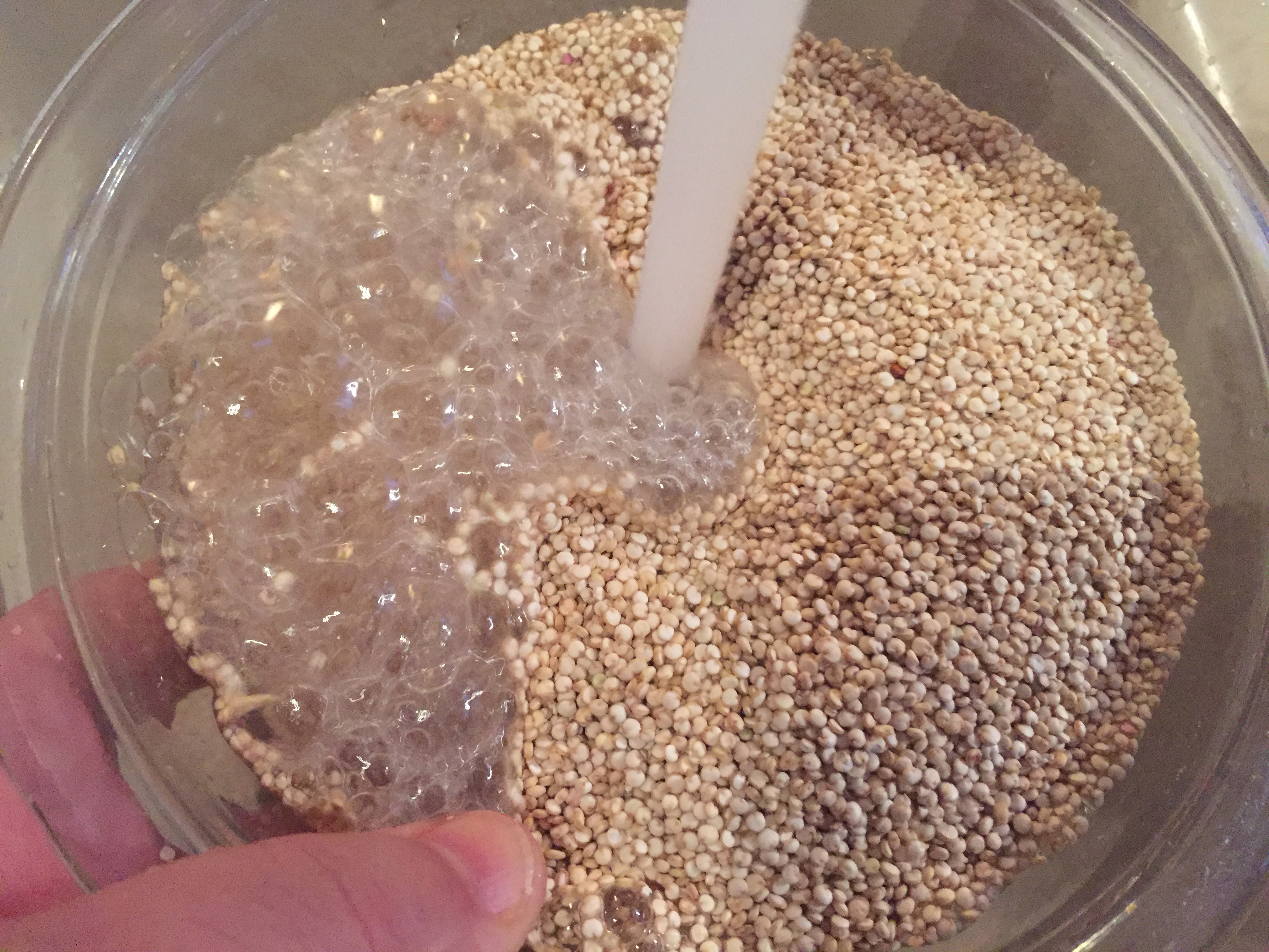 sous vide quinoa picture