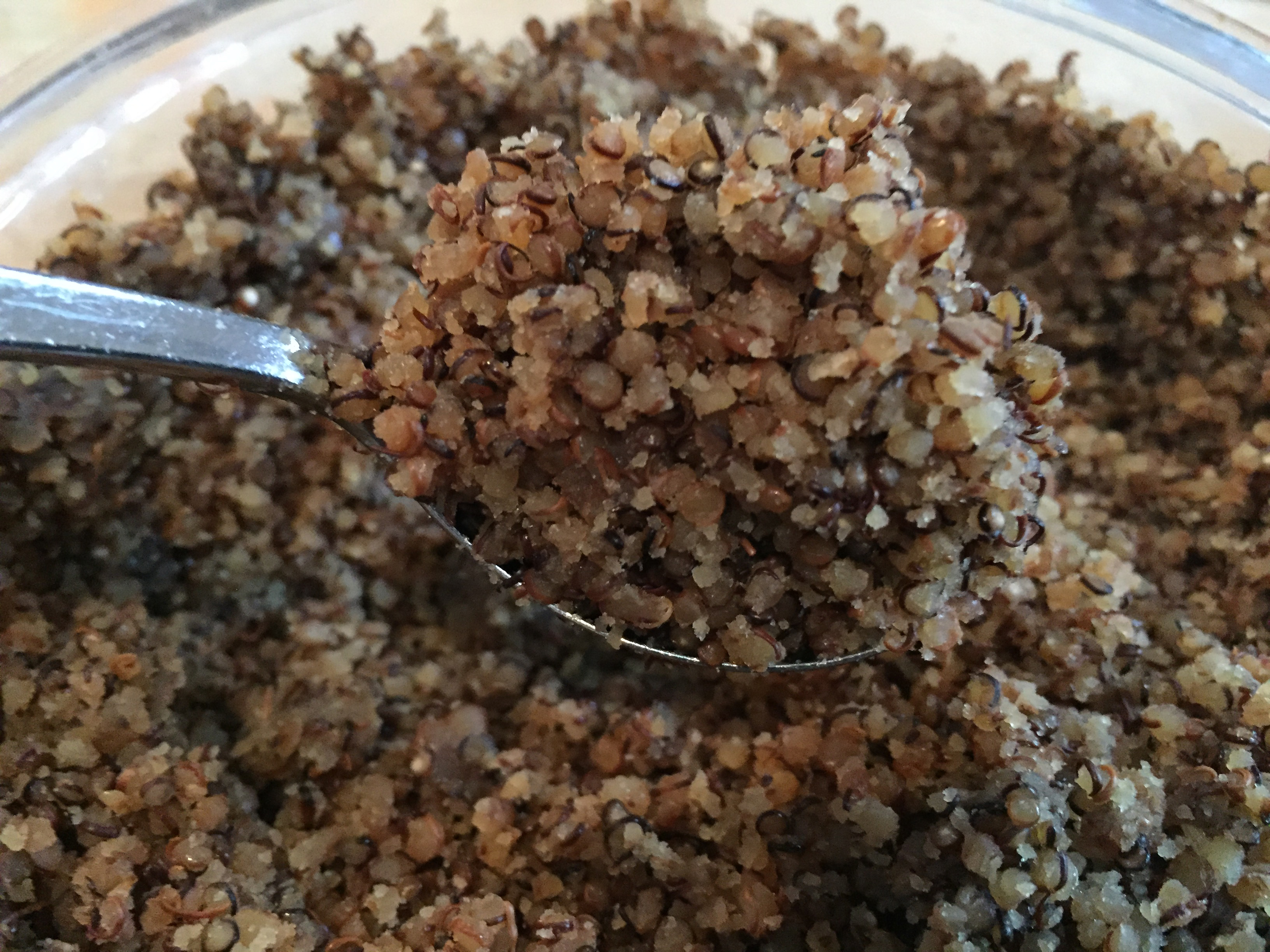 sous vide quinoa photo