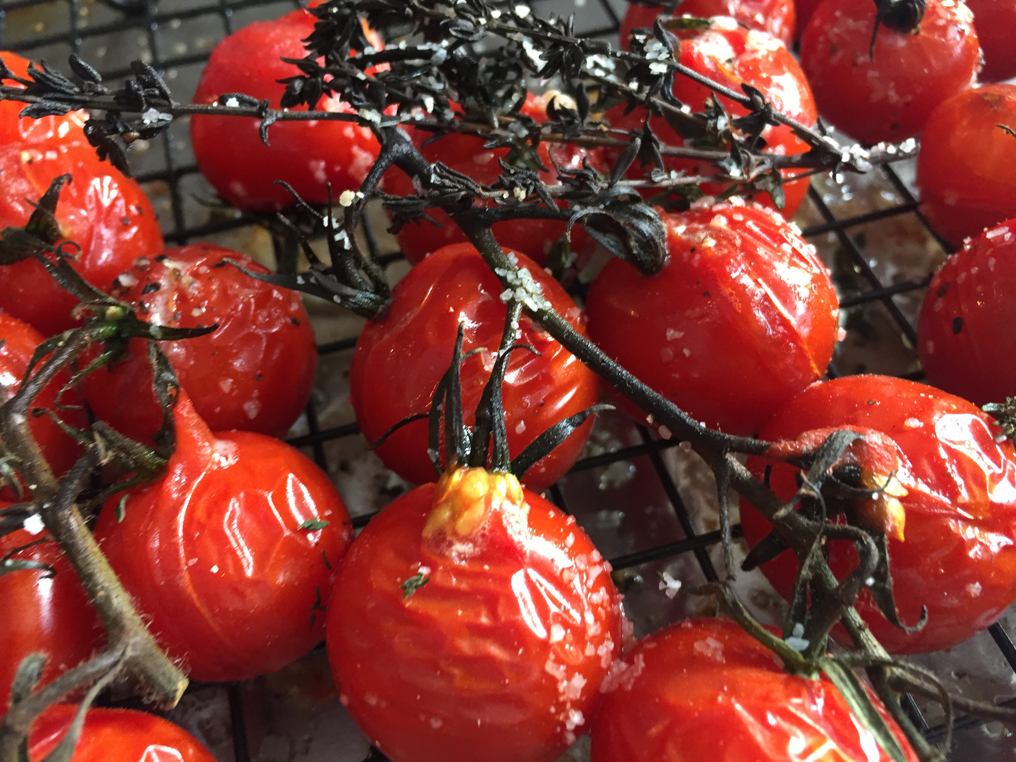 burrata salad photo