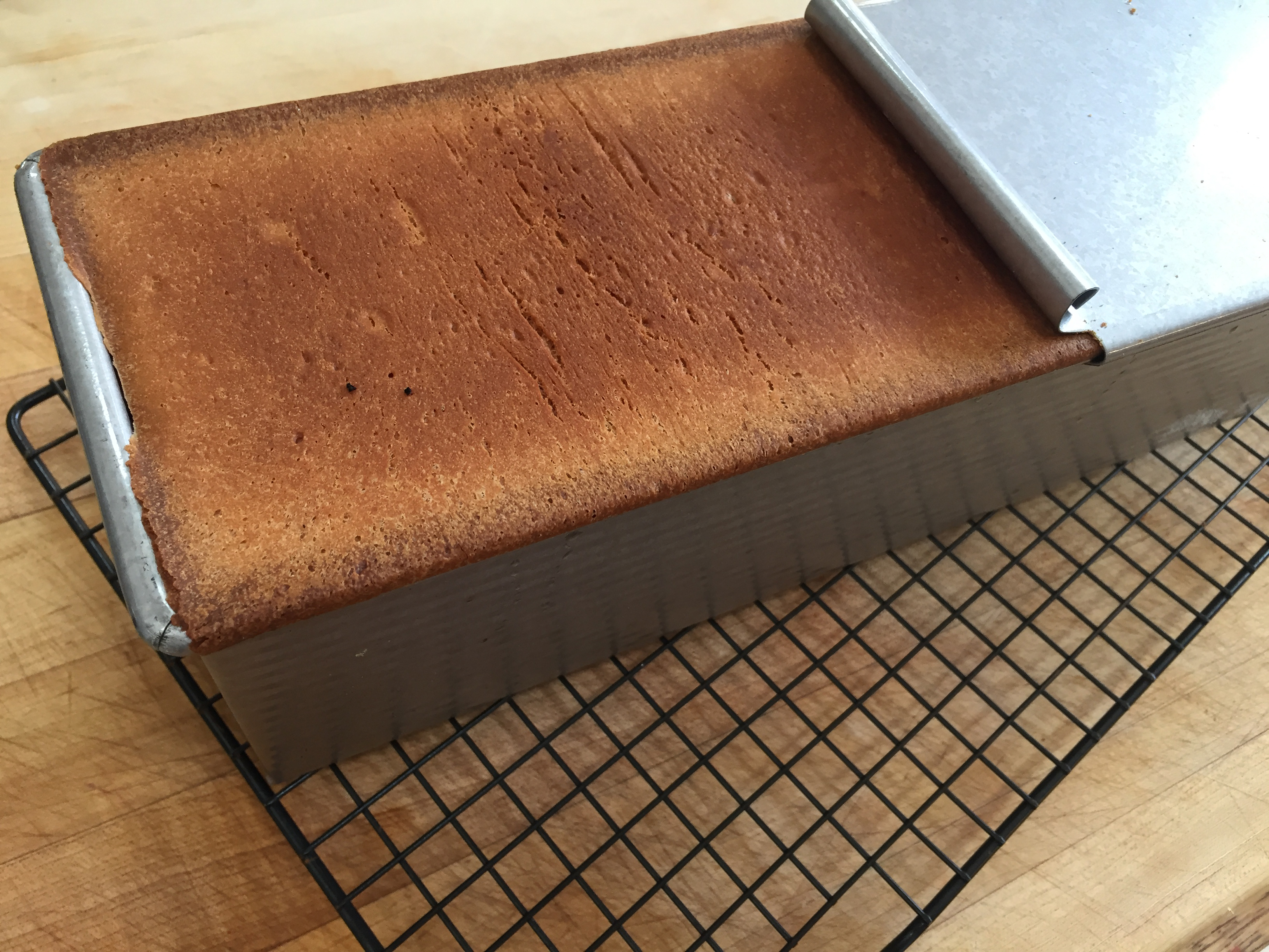 sous vide sandwich bread picture