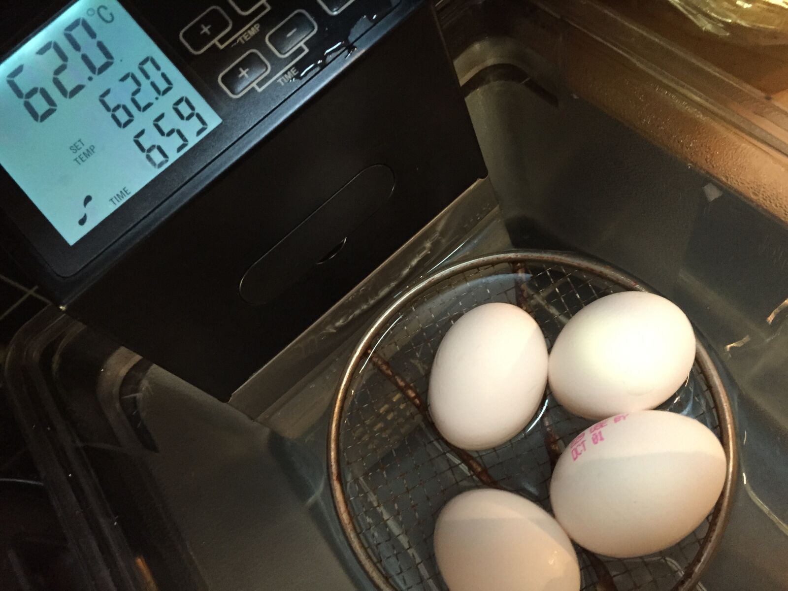 eggs sous vide